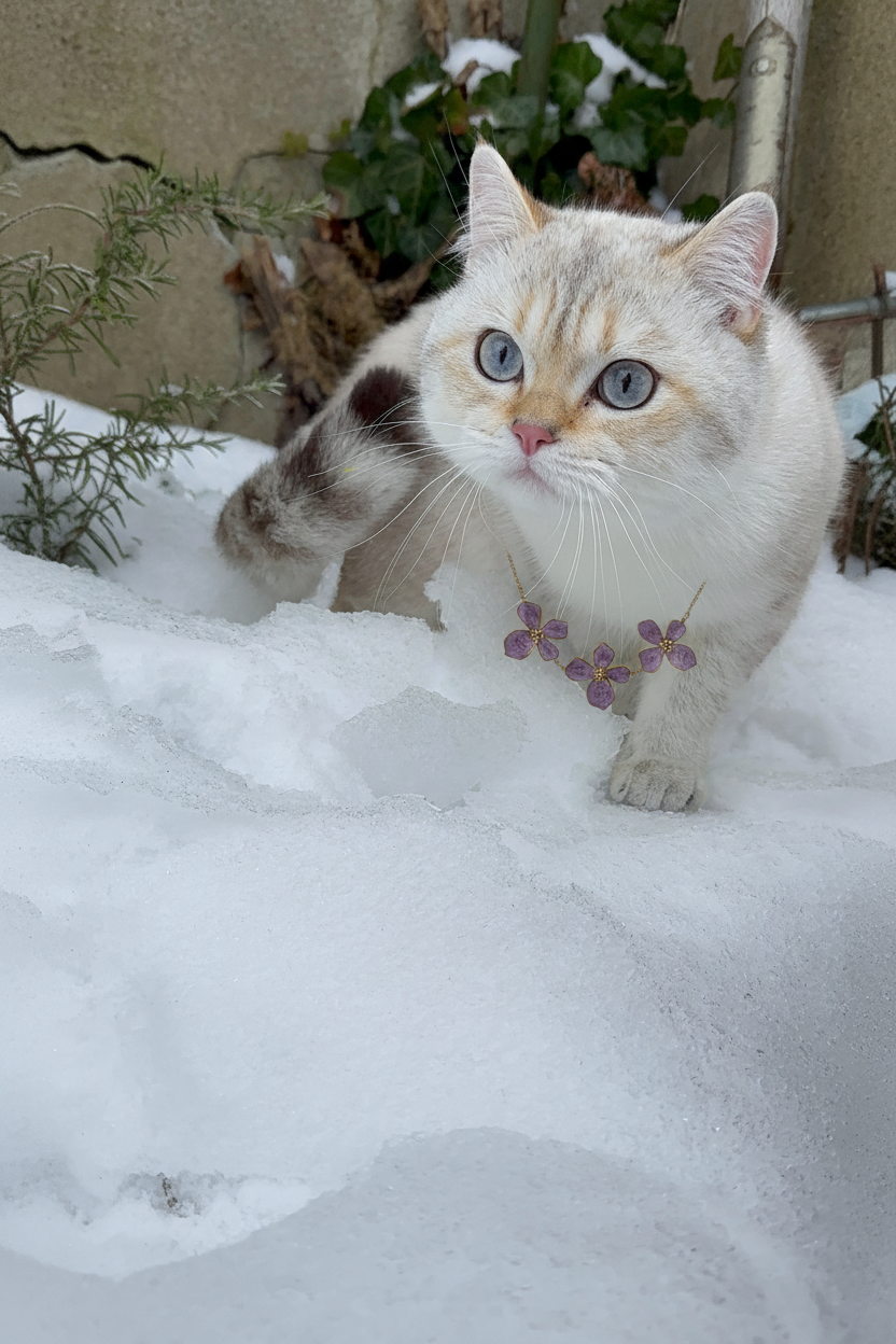 Purple Flower Kolye - Beyaz Kedi